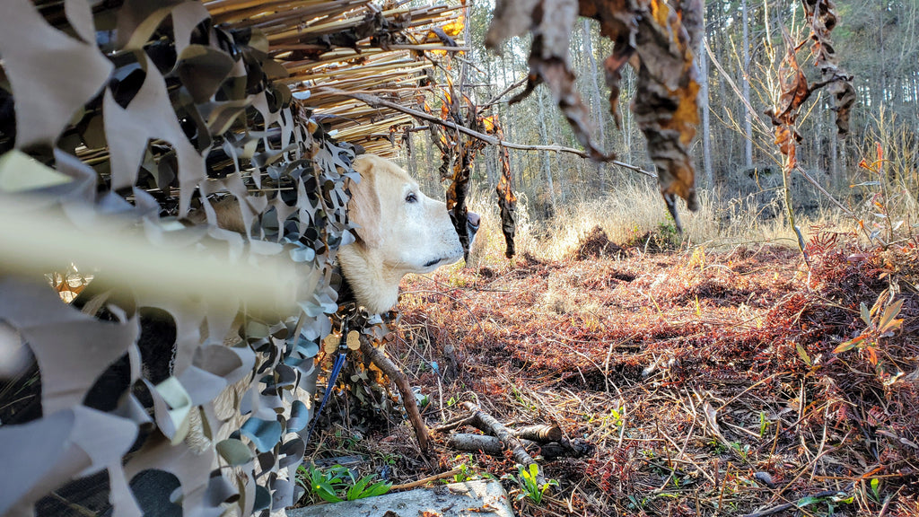 Speed Reed – Camo Unlimited