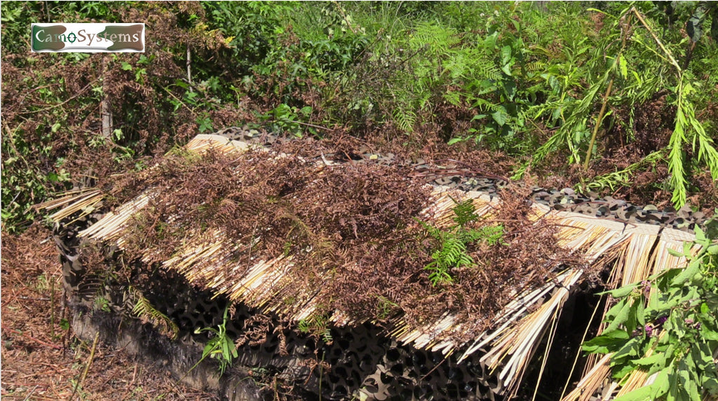 Speed Reed – Camo Unlimited