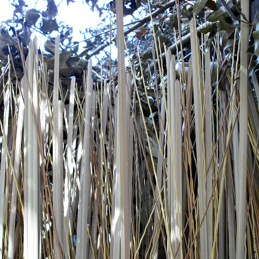 Speed Reed – Camo Unlimited